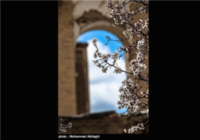 Iran’s Beauties in Photos: Spring in Iran