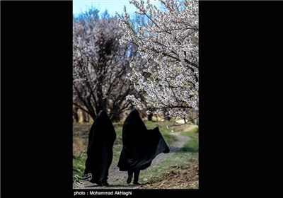 Iran’s Beauties in Photos: Spring in Iran