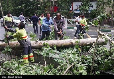Dust Storm in Tehran Kills 5, Causing Heavy Damage