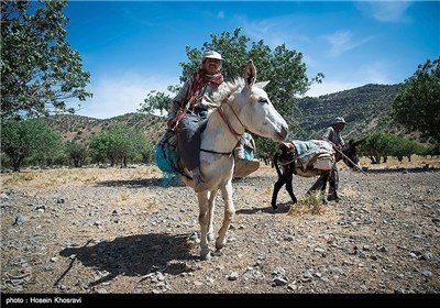 زندگی عشایر استان فارس