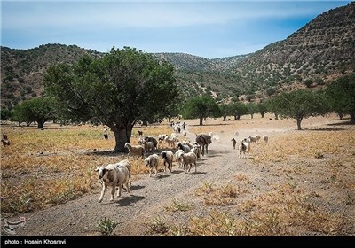 زندگی عشایر استان فارس