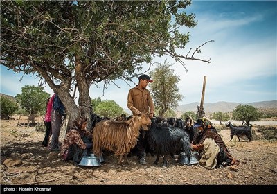 زندگی عشایر استان فارس