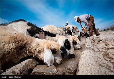 زندگی عشایر استان فارس