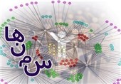100 سازمان مردم نهاد در استان زنجان غیر‌فعال است