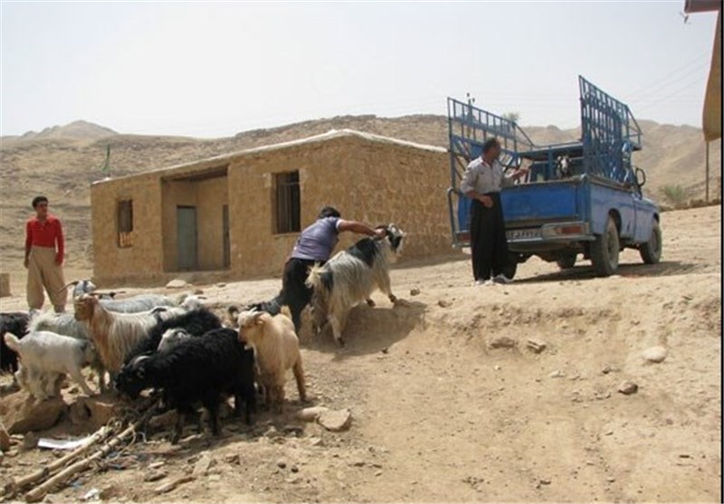 عمران و آبادی مناطق روستایی شهرضا در طرح هجرت امسال