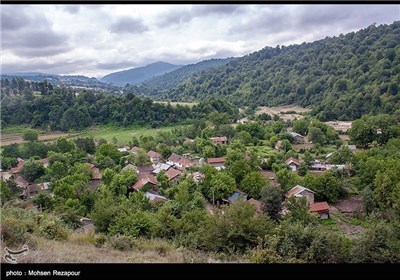 Iran’s Beauties in Photos: Spring in Mazandaran Province - Photo news ...