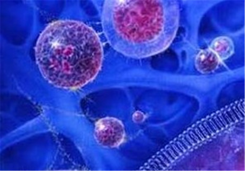 New Technique Reveals Immune Cell Motion