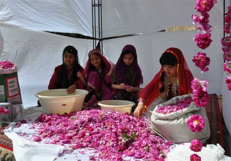 نخستین جشنواره گلاب‌گیری و گل‌محمدی در خوی + تصاویر