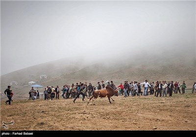 آیین سنتی جونکا سَره - مازندران