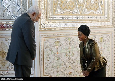 Iran’s Zarif, South Africa’s Int’l Relations Minister Meet in Tehran