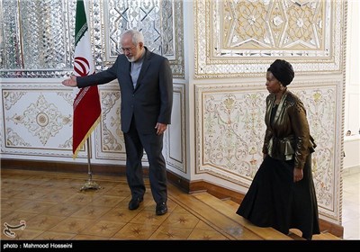 Iran’s Zarif, South Africa’s Int’l Relations Minister Meet in Tehran