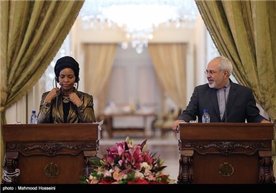 Iran’s Zarif, South Africa’s Int’l Relations Minister Meet in Tehran