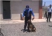 Iranian Customs Launches Detection Dog Training Center
