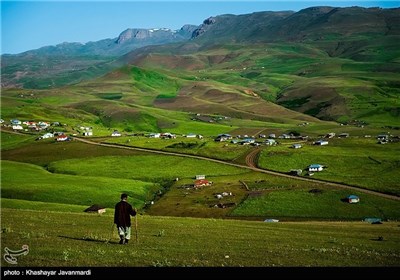 طبیعت بهاری ییلاق شکردشت تالش