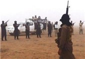 500 الجزایری در کنار داعش در عراق می‌جنگند