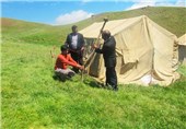تمام عشایر استان یزد تا پایان امسال بیمه می‌شوند