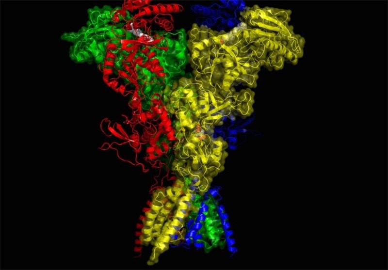 Unprecedented 3-D View of Important Brain Receptor