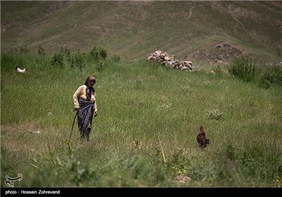 عشایر دشت لار