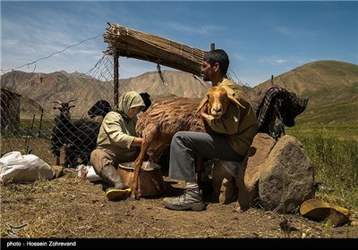 عشایر دشت لار