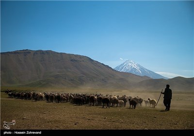 عشایر دشت لار