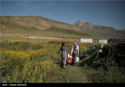 عشایر دشت لار