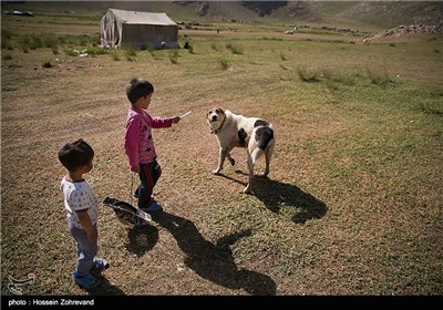 عشایر دشت لار