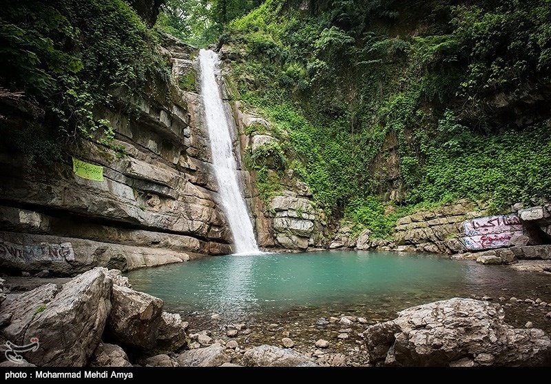جنگل شیر آباد خان ببین - گلستان- عکس مستند تسنیم | Tasnim