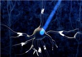 New Optogenetic Tool for Controlling Neuronal Signalling by Blue Light