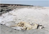 100میلیون مترمکعب آب در سال 94 از سد سیلوه به دریاچه ارومیه سرریز می‌شود