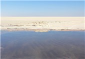 دریاچه ارومیه با یک برنامه‌ریزی مدون و کامل احیاء می‌شود