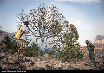 Fire Burns Parts of Iran’s Golestan National Park
