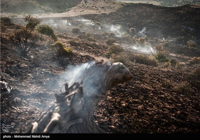 Fire Burns Parts of Iran’s Golestan National Park