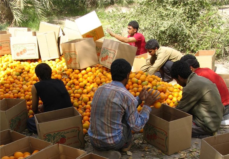 کاهش 20 درصدی قیمت میوه با سرگرم شدن مردم به خرید لوازم التحریر
