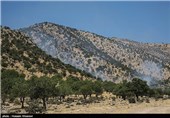 شیراز| کاهش چشمگیر آتش‌سوزی مراتع و جنگل‌های فارس