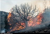 آتش‌سوزی در جنگل‌های &quot;قرق&quot; گرگان مهار شد/2 هکتار جنگل در آتش سوخت