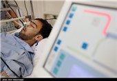 721 بیمار کلیوی استان بوشهر در انتظار پیوند هستند