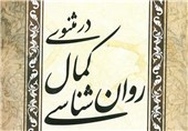 کتاب &quot;روان‌شناسی کمال در مثنوی&quot; در زنجان منتشر شد