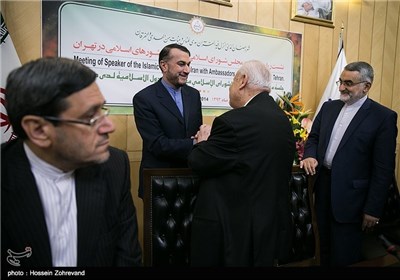 Ambassadors of Islamic Countries Meet Iran Parliament Speaker