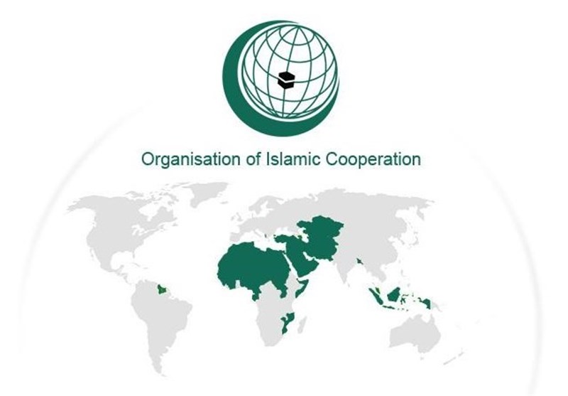 OIC Envoys Urge International Action on Gaza