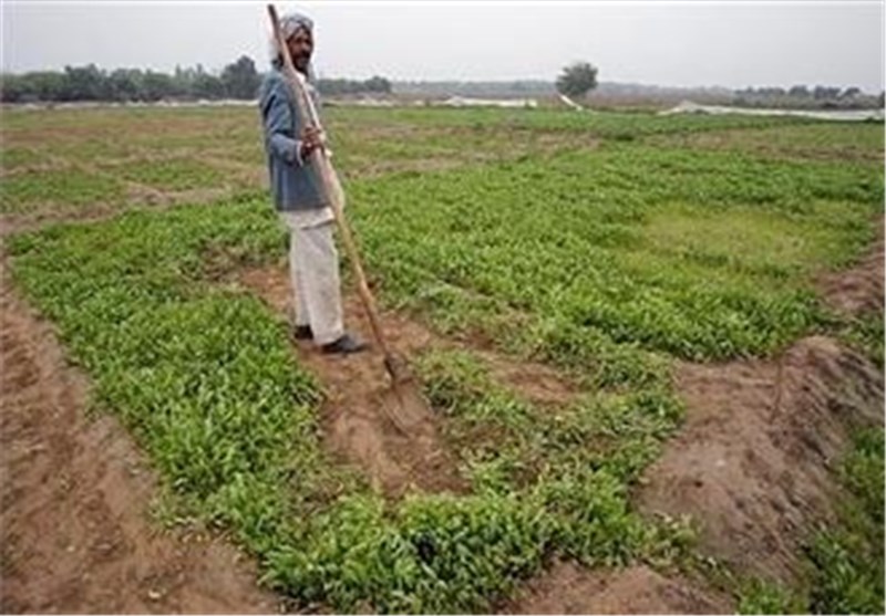 کشاورزی خوزستان؛ قربانی وعده‌های ناتمام