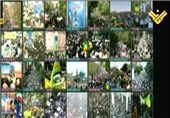 المنار: مردم ایران راهپیمایی میلیونی همبستگی با غزه برگزار کردند