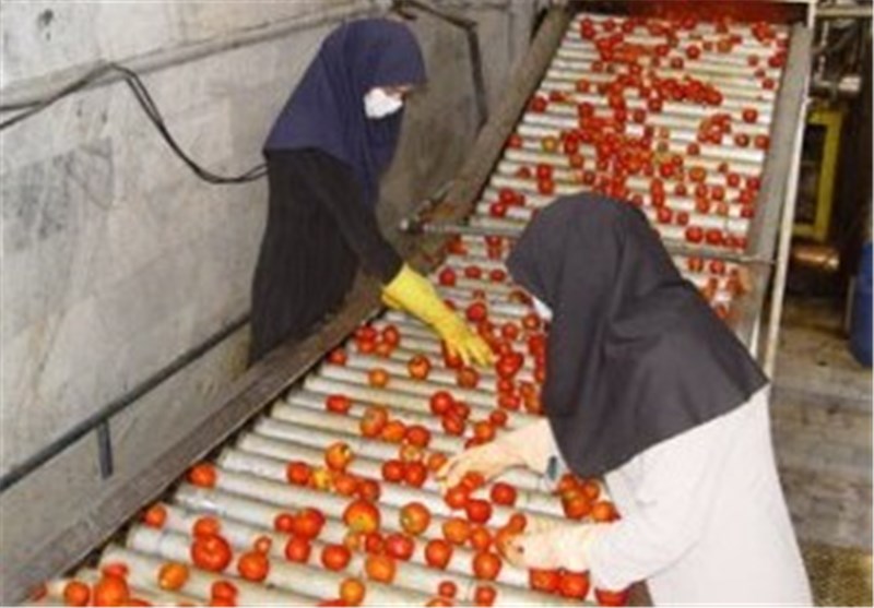 30 تن رب گوجه فرنگی غیربهداشتی در مرودشت معدوم شد