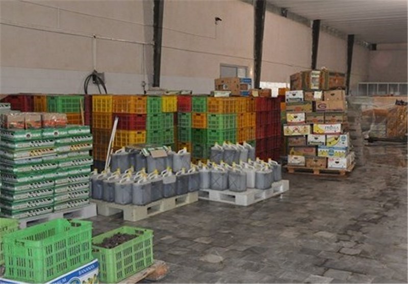 4500 تن گوجه فرنگی مازاد بر نیاز کشاورزان دشتستانی خریداری شد