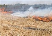 کاه‌ و‌ کلش 450 هکتار از مزارع کهگیلویه در آتش سوخت