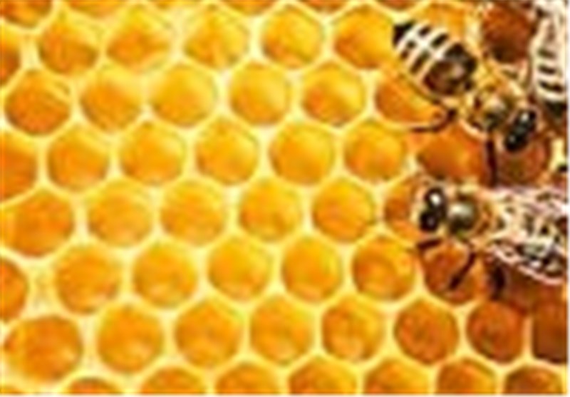 33 تن عسل در سیستان و بلوچستان تولید شد