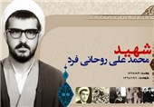 محمد‌علی روحانی‌فرد، شهید شاخص رسانه در گلستان