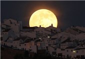 منتخب عکسهای ماه رویترز
