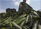تاثیر تحریم مواد غذایی اروپایی توسط روسیه بر اقتصاد انگلیس