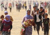 تجارت کثیف داعشی ها با زنان بیوه