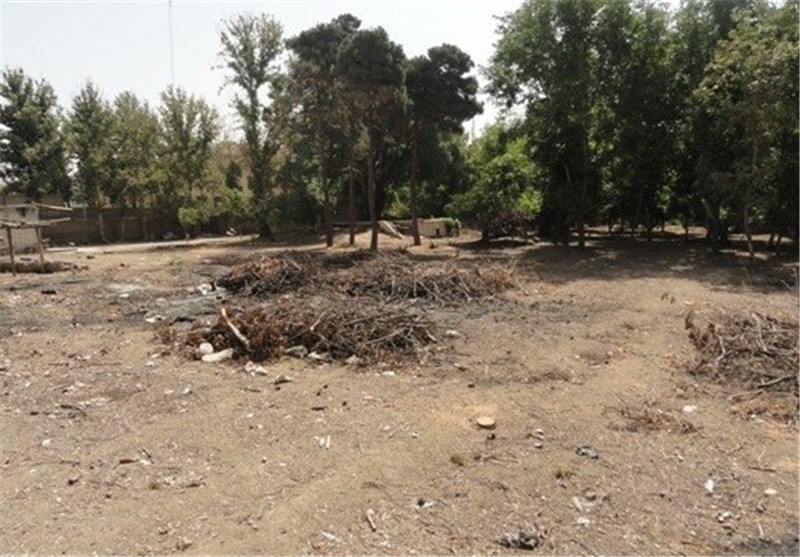 قطع درختان باغ حصارک کرج مورد تائید شورای شهر است